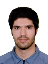 دکتر محمدمهدی محمودی