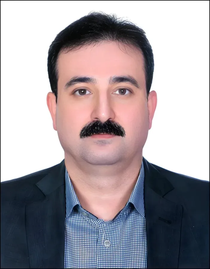 دکتر شاهین بابازاده رودسری متخصص بیماریهای داخلی, دکترای پزشکی