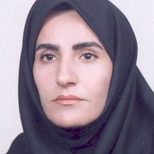 دکتر محمد شیرزادی