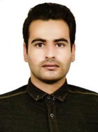 کارشناس ابوالفضل شاه وردی کارشناس کاردرمانی