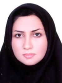 دکتر نور رشیدی