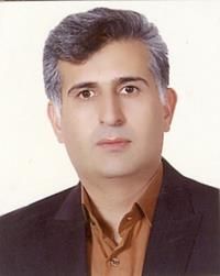 دکتر مجید محمدزاده متخصص بیماری‌های عفونی و گرمسیری, دکترای حرفه‌ای پزشکی