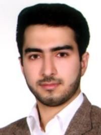 دکتر سیدحمید حسینی نقوی