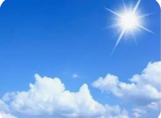 دکتر فرحناز فرزانه