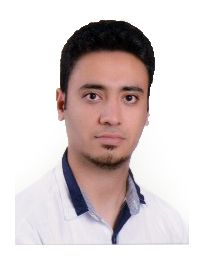 دکتر مهدی حمزه ای