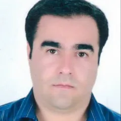 مازیار ملک زاده فلوشیپ ارتوپدی استخوان و مفاصل, فلوشیپ فوق تخصصی ستون فقرات