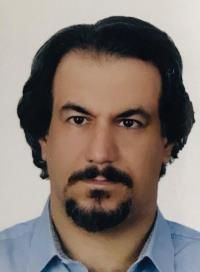 محمد رضائی تخصص بیماری‌های قلب و عروق, دکترای حرفه ای پزشکی