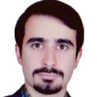 دکتر محمد ممیزی متخصص بیماری های داخلی، دارای بورد تخصصی