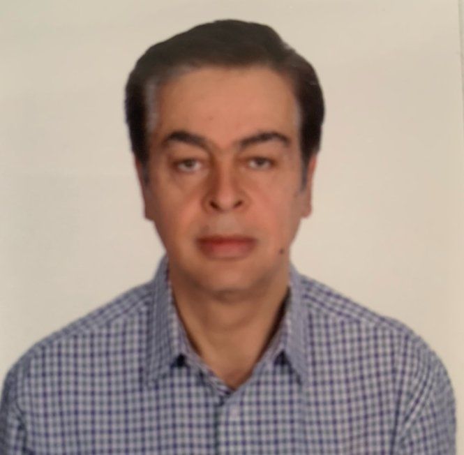 دکتر محمد رضا معین