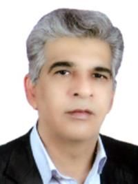 دکتر محمدرضا رشیدی نژادمیبدی
