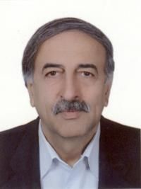 دکتر سیدمحسن سیدنوزادی