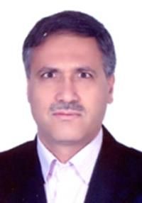 دکتر محمدرضا زارعی
