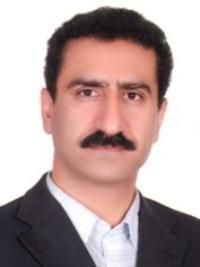 دکتر مجید علی محمدی