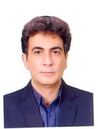 دکتر محمدرضا خدادی