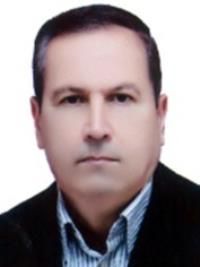 دکتر مجید میرزازاده