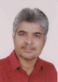 دکتر حسن سیف الدینی رشک علیا
