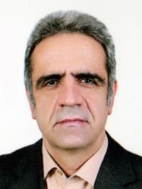 دکتر سعید میرزا