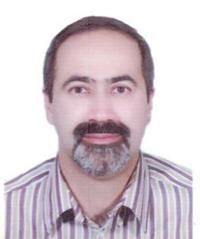 دکتر مجتبی شجاعی باغینی