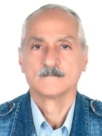 دکتر خسرو کوکبی