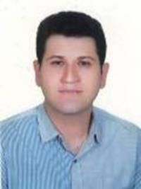 دکتر هادی ذوالفقاری خیاوی