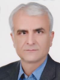 دکتر مهران مسیبی