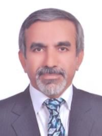 دکتر محسن ارمیده