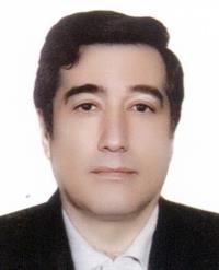 دکتر سیدمحمدمهدی سلیمان زاده موسوی