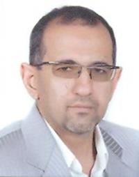 دکتر سیدمحمدحسن انوشه