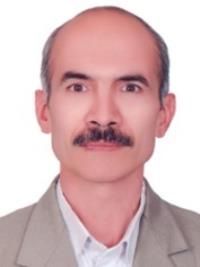 دکتر مجتبی بیگدلی