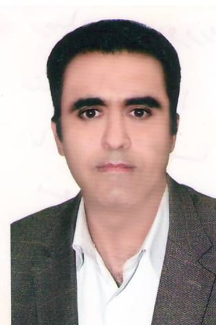 دکتر رضا حسین پور