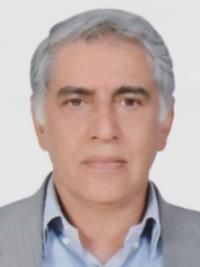 دکتر محمد ولی زادگان