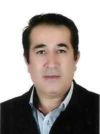 دکتر علی انشایی