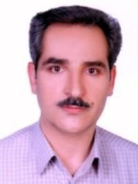 دکتر عزت اله میرزایی