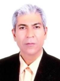 دکتر حسام الدین صابری