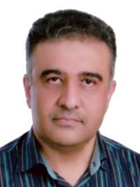دکتر حسین ذوالفقاری