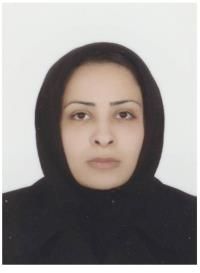 دکتر محمدصادق مسعودی