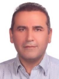 دکتر شاهان محمودی
