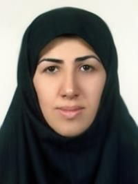 دکتر هما طباطبائی فلوشیپ ویتره ورتین- سگمان خلفی