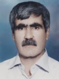 دکتر مصطفی مشکوه