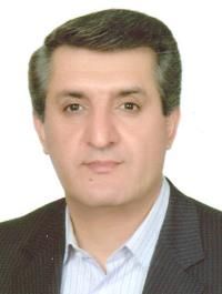 دکتر مهدی فروزان فر