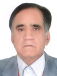 دکتر سیدمحمدمهدی حسینی