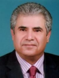 دکتر علیرضا امینی نظری