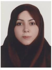 دکتر سیده ستاره رودباری