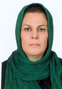 دکتر محمد حسینی