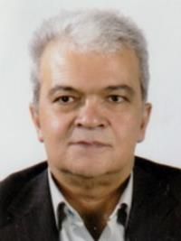 دکتر محمدحسین نجفی
