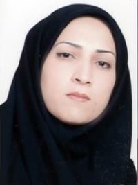 دکتر ستاره شمالی