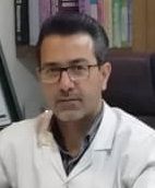دکتر سعید عبادی