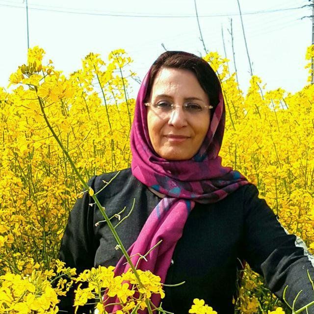 دکتر هایده ابطحی