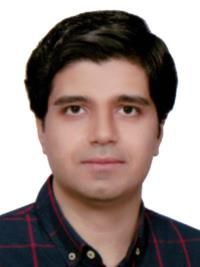 دکتر مهران میر