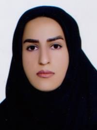 دکتر معدن کن کارشناسی ارشد مامایی, کارشناسی مامایی